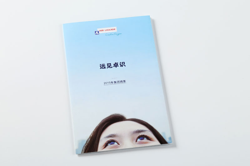 折頁(yè)印刷-遠(yuǎn)見卓識(shí)